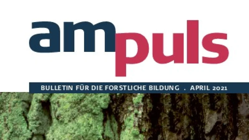 ampuls Kachel