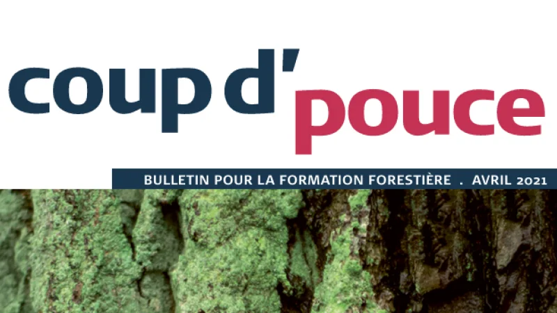 coup d'pouce Kachel