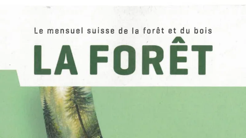 La Foret Kachel