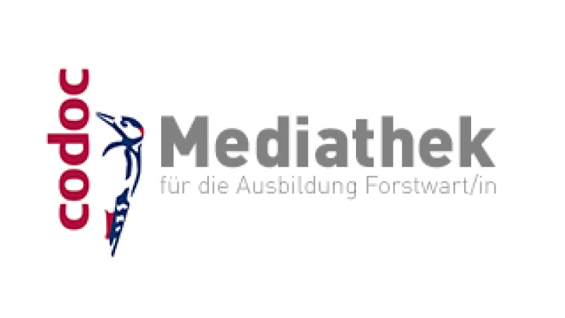 Online-Mediathek