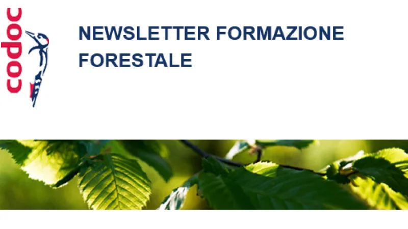 Newsletter I