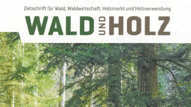 Wald und Holz Kachel